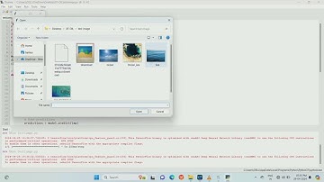 Oil Spill Detection using Deep Learning : Marine Ecosystem - Final year project