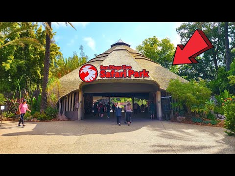 San Diego Zoo Safari Park California Full Tour