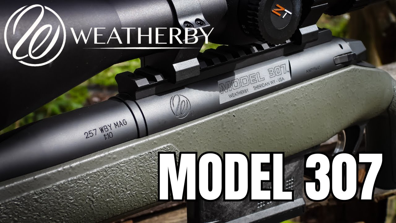 Weatherby MODEL 307 - RANGE XP [День стрельбища / Тест боеприпасов / Все мои данные на данный мом...