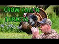 You can call turkeys with a crow call