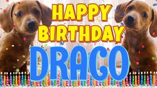 Happy Birthday Draco! ( Funny Talking Dogs ) What Is Free On My Birthday