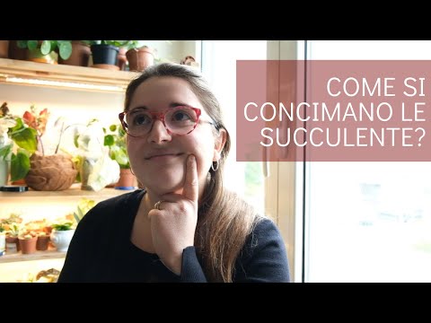 Video: Come E Con Cosa Concimare I Cactus?