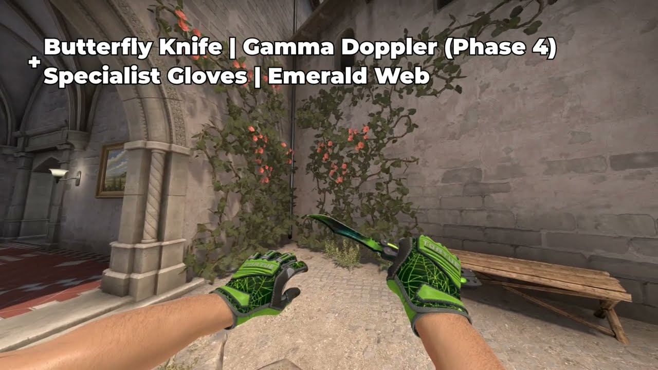 Budget Ruby Knife-Glove Combinations in CS2