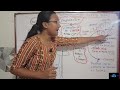 Stamen औरMale reproductive part of flower Androecium क्या हैं? | Biology Class 12 | Logic Lab ✨