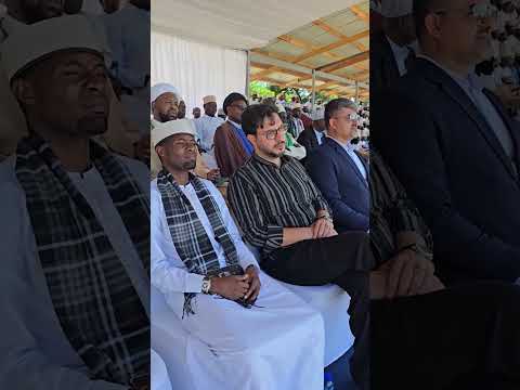   حامدشاکرنژاد     