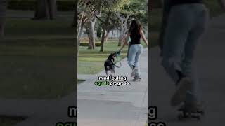 Stop Your Dog From Pulling (Fix This First) #shorts #dogtraining #dogtips #dogbehavior #shorts