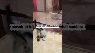 “Mama Eks sam di biarin si embul cari jalan keluar sendiri