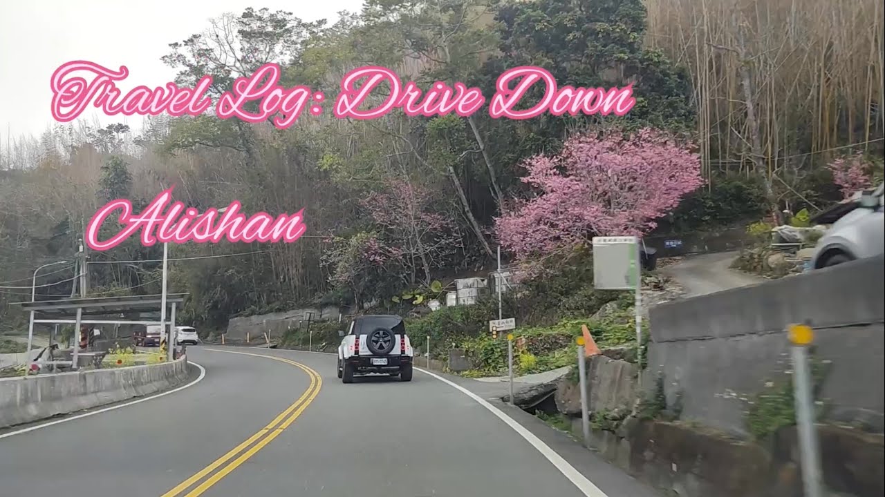 Travel Log:  Enjoying The Scenic Drive Down AliShan Mountain