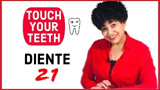 - TOUCH YOUR TEETH - DIENTE 21 [práctica de relajación] DESCODIFICACIÓN DENTAL Sencilla.