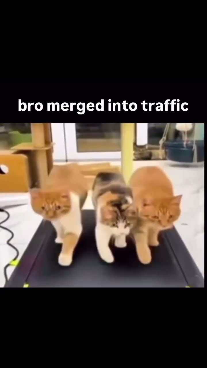 Bro merged into one way traffic