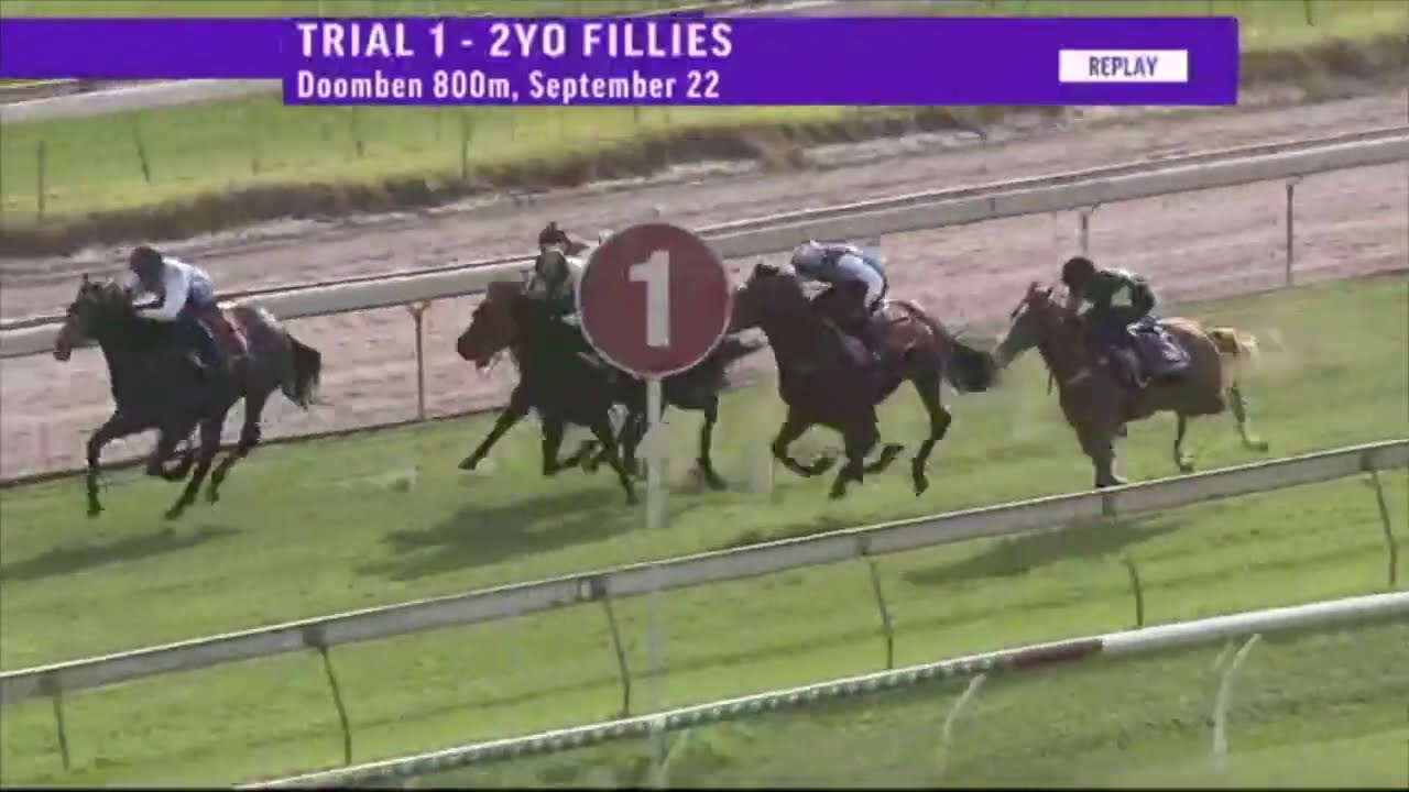 Star Turn's First Triallers Shine