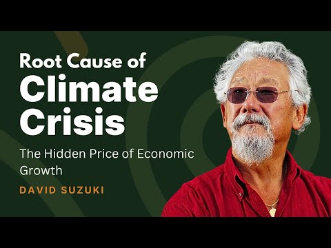 Nature's Hidden Value: