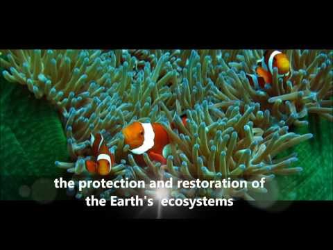 education-for-sustainable-development-at-the-university-of-bristol