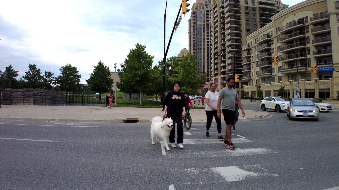 Relaxing Walk in Downtown Mississauga | High Rise Condos, Sheridan College [4K]