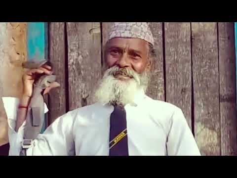 10 რამ რაც ცხოვრებაში არასდროს გინახავთ!