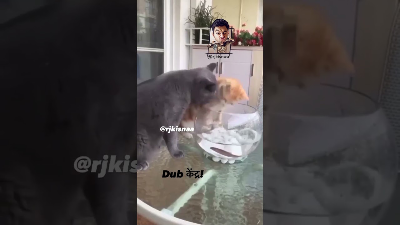 Cremseey roz putegi ? Funny commentry by rj kisnaa 😂😂 