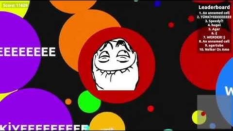 Agarabi.com Gamplay (29663) Score in Speedy FFA