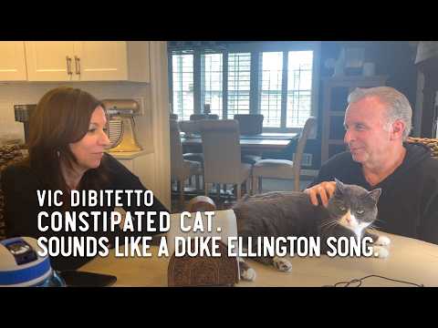 Constipated Cat. Sounds like a Duke Ellington song.
