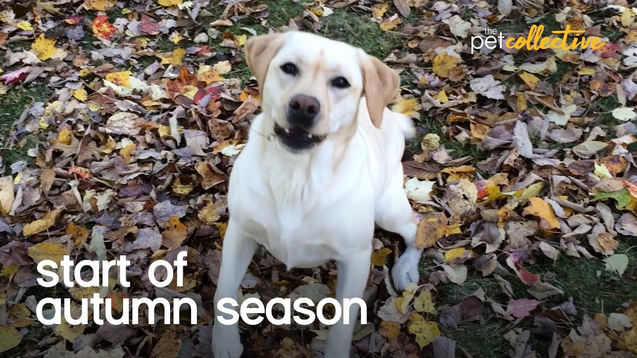 First Day of Fall