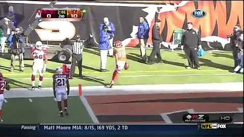 Jerome Simpson INSANE Touchdown Endzone Flip !!!