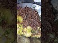 TERI JENGKOL SAMBEL IJO #bawangputih #sambelijo