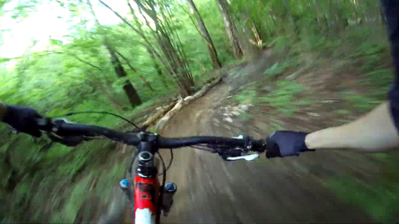 Трейл Горыныч по скользкому грунту (Butovo Chess Park)