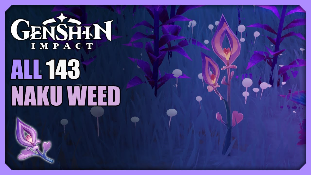 ALL 143 Naku Weed Locations | Efficient Farming Route | Genshin Impact