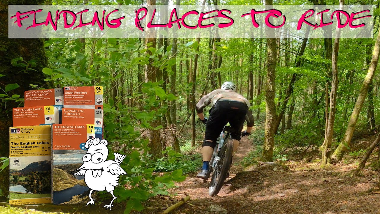 I got lucky yet again | Cheeky MTB trails | How do I go about it?