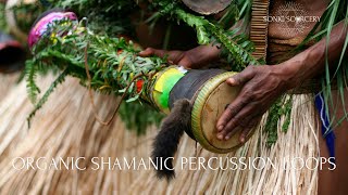 CREATING ORGANIC SHAMANIC PERCUSSION LOOPS IN ABLETON (FEAT. NOIIZE FILTER)