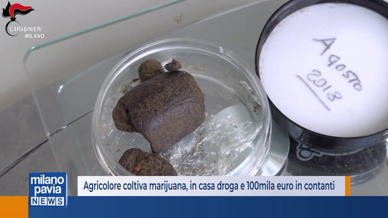 Finge di coltivare cannabis light, ma vende 