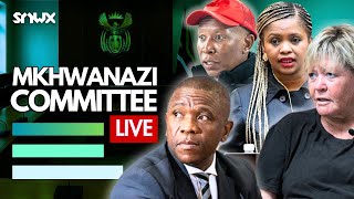 Mkhwanazi Ad Hoc Committee prepares for hearings