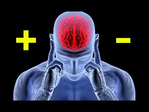 Что любит и НЕ любит НЕРВНАЯ СИСТЕМА?