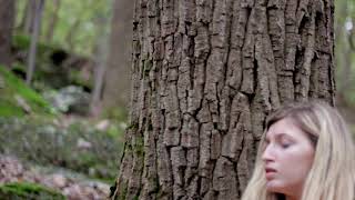 The Picnic Official Teaser Trailer