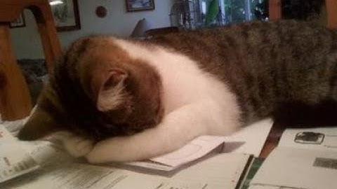 I almost died (Not clickbait)