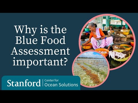 Why is the Blue Food Assessment important?