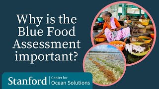 Why is the Blue Food Assessment important?