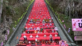 種子島のふるさと情報：今姫神社ひなまつり550体のひな人形2019年