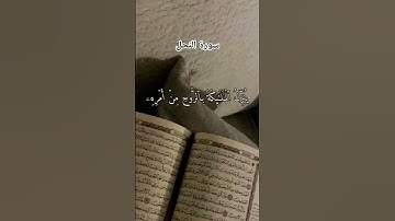 #سورة_النحل #خالد_الجليل #لايك #اكسبلور #قرآن #راحة_نفسية