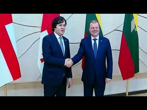 პარლამენტის თავმჯდომარის  ვიზიტი