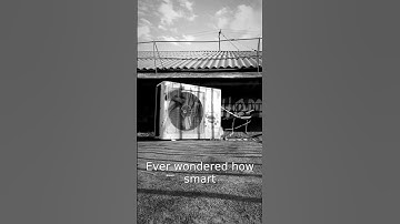 Why Smart Thermostats Learn Your Preferences #technology #smart #thermostat #energy #home