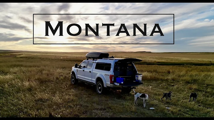Montana Opener! Sharptails and Huns, part 1
