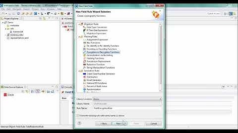 FieldShield Tutorial: Assigning Masking Rules