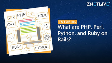 What are PHP, Perl, Python, and Ruby on Rails?