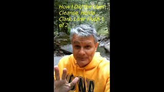 How I Did the LIVER CLEANSE, Hulda Clark, LIVER FLUSH, @MichaelVanderpool777 Part 1 of 2