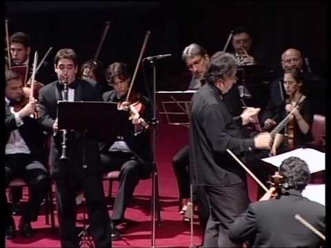 Max Bruch Doble Concierto para Clarinete, Viola y ...