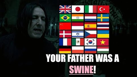 "YOUR FATHER WAS A SWINE!" in Different Languages [Harry Potter and the Order of the Phoenix]