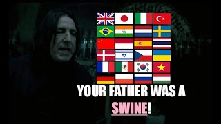 'YOUR FATHER WAS A SWINE!' in Different Languages [Harry Potter and the Order of the Phoenix]