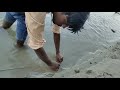 हुक मैं जिंदा लगाकर लाँची और सिंघाड़ा मछली पकड़ने का तरीका || Fish Hunting process By Hook Big Fish