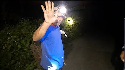 Bẫy chuột cống nhum bằng mồi khoai lang! Và cái kết thật bất ngờ?