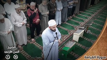 سورة القيامة - من صلاة الفجر : الشيخ أنس الأحمد